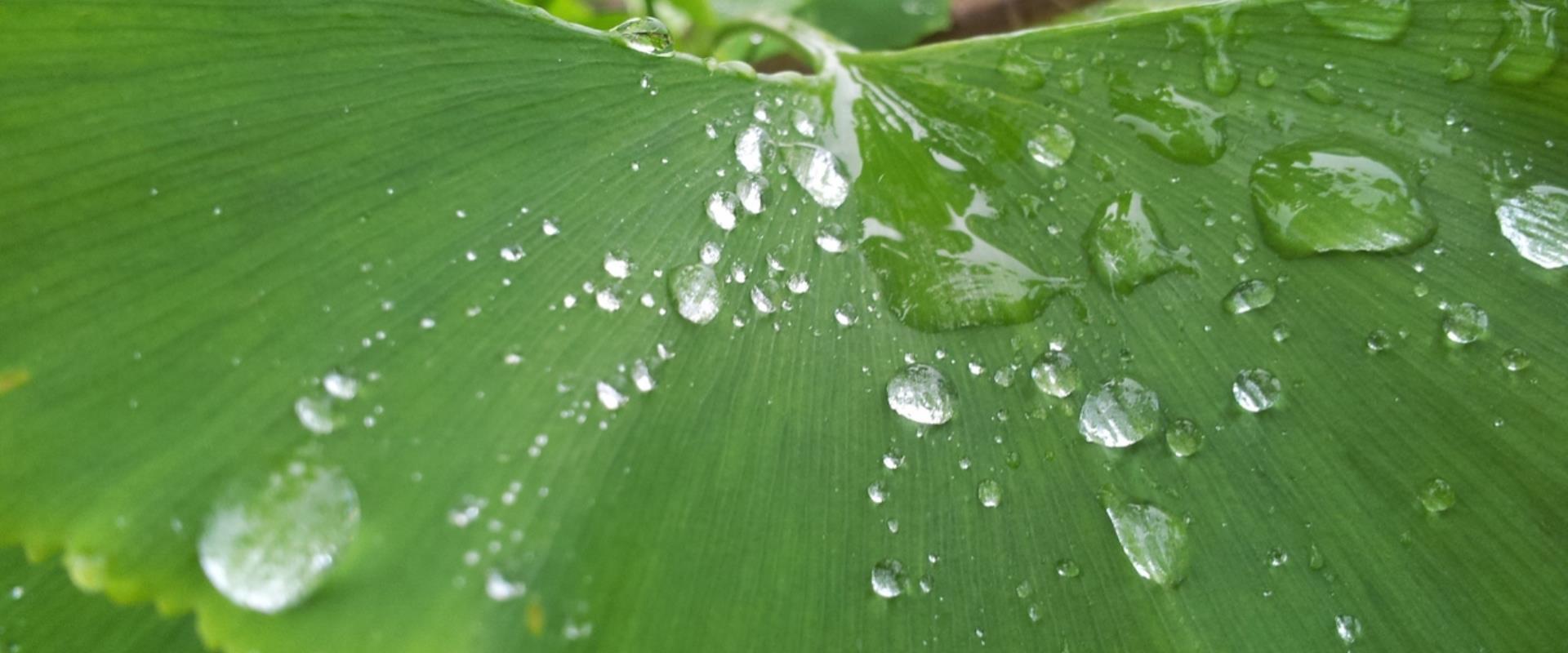 4 star Hotel Mirage, Milan, is the ideal solution for a sustainable holiday in Milan